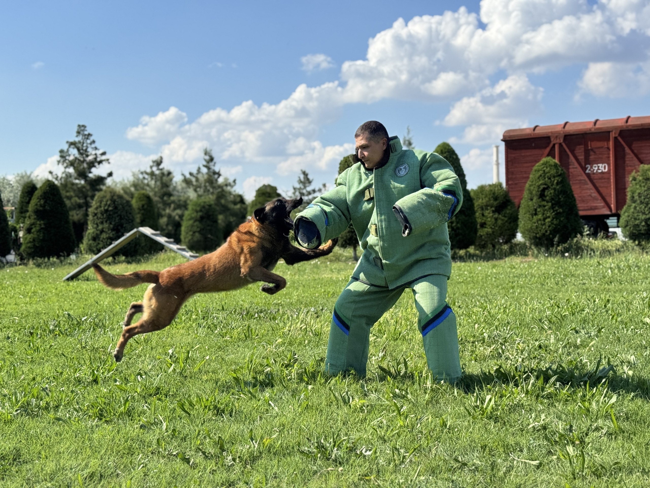 National Canine Center of the Customs Committee