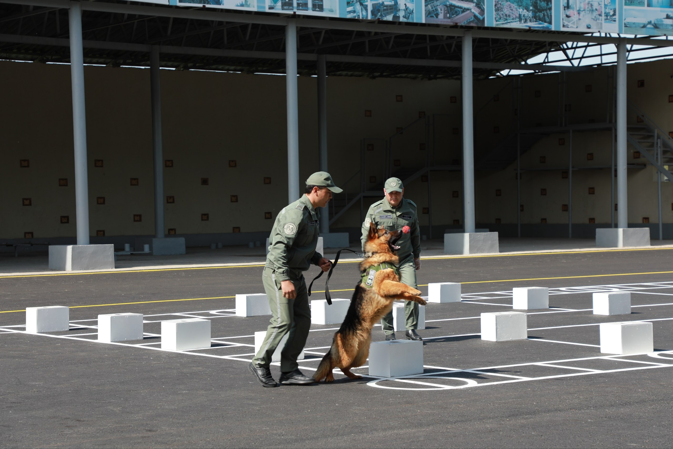 National Canine Center of the Customs Committee
