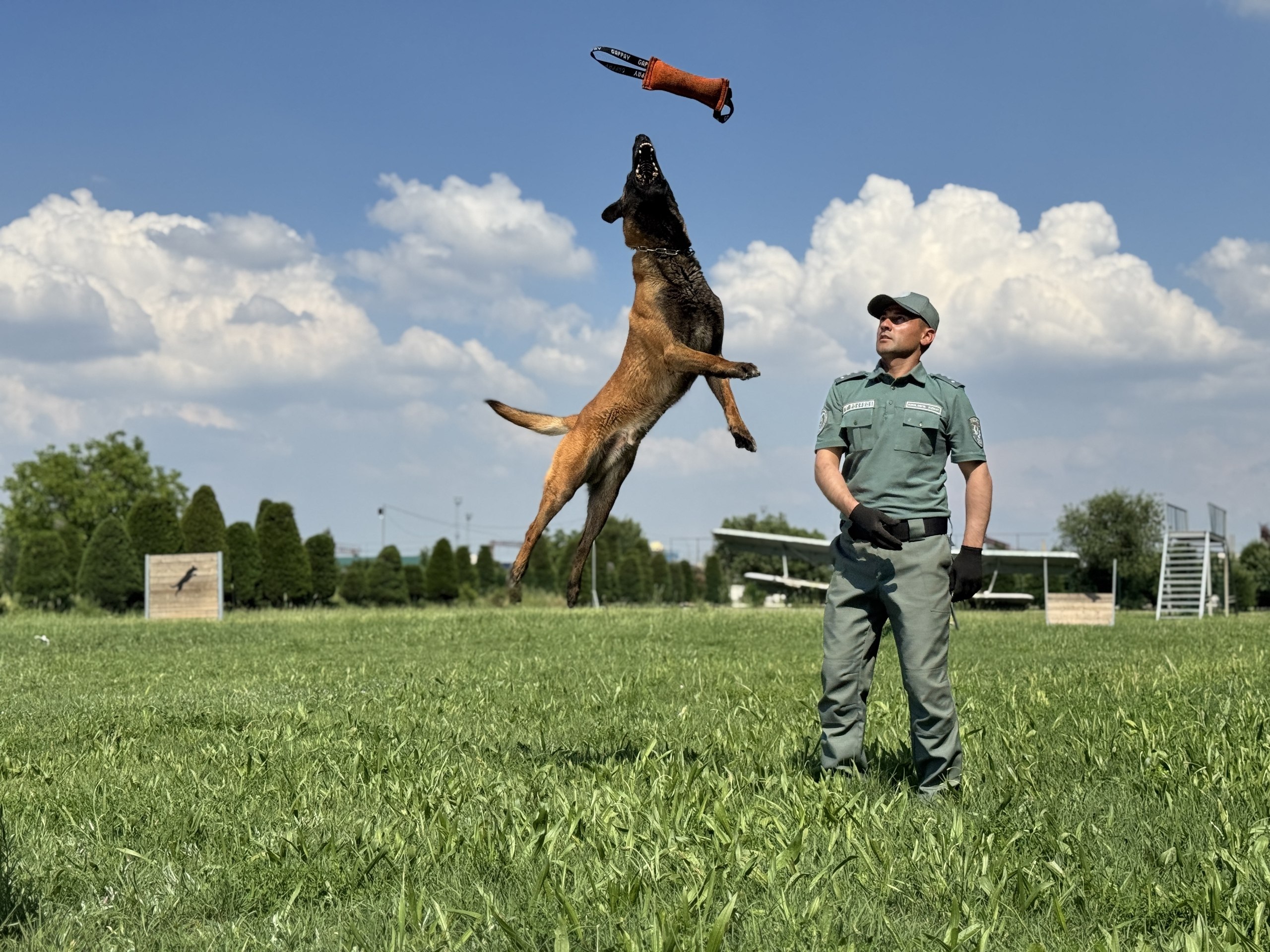 National Canine Center of the Customs Committee