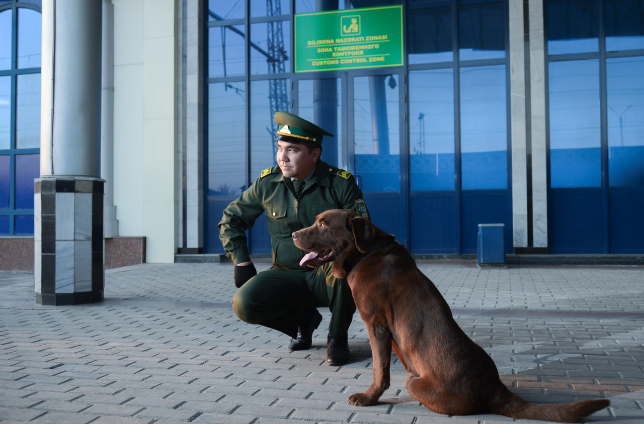 Customs border post